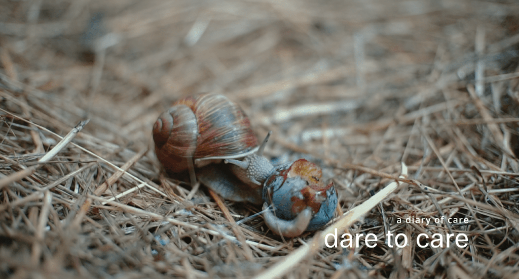 dare to care – Projektivideo aus dem&nbsp;Baukunststudio